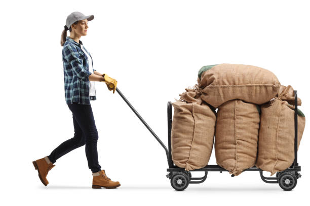 istock Female farmer worker pushing a hand truck with burlap sacks 1313628302
