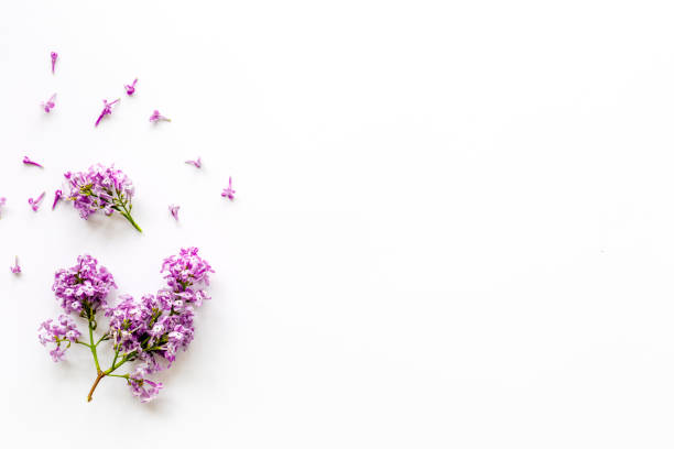 istock Flowers composition. Purple lilac flay lay, copy space 1313629193