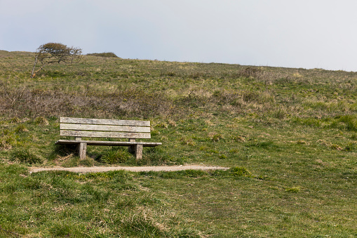 A bench on a South Downs hillside, on a foggy morning