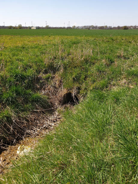 istock Polluted water of a stream 1313632161
