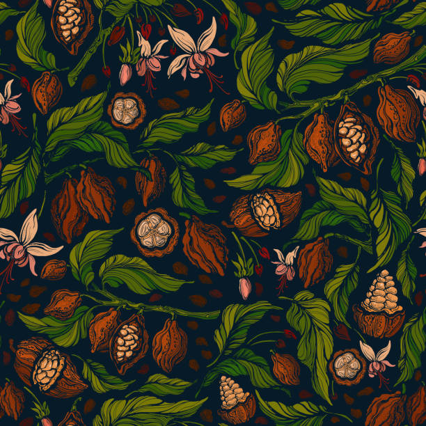 Cacao exotic seamless pattern. Vector green plant Cacao exotic seamless pattern. Vector green plant, tropical fruit, aroma bean, flower in bloom. Decorative colorful background for textile, wallpaper. Fresh foliage cacao fruit stock illustrations