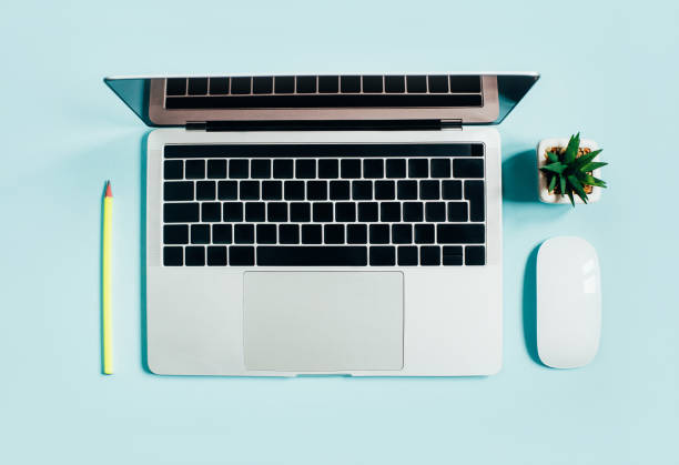 istock top view of laptop, computer mouse, pencil and cactus on blue background 1313634403