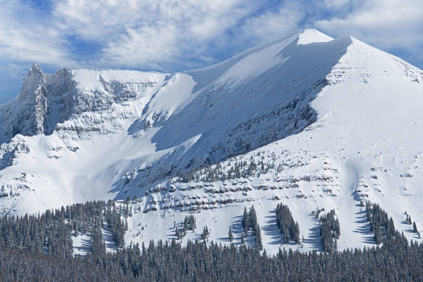 istock Winter, Sheep Mountain, San Juan Mountains 1313637288
