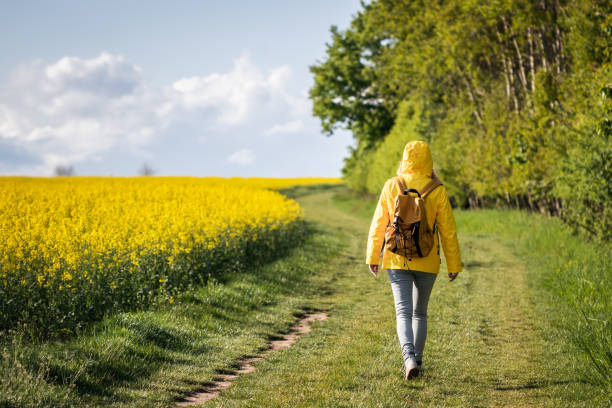 Spring walk in rural scene Lone woman walk on path between forest and oilseed field. Spring hike in nature walking loneliness one person journey stock pictures, royalty-free photos & images