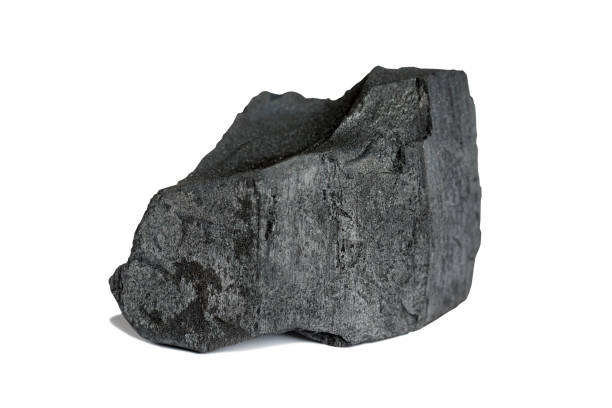 istock Wood charcoal piece isolated on white background 1313640699