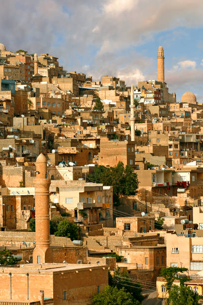 istock Old town Mardin, Turkey 1313642535