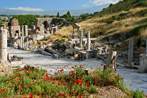 Ruins of the Roman city of Ephesus in the spring with red poppies, Turkey