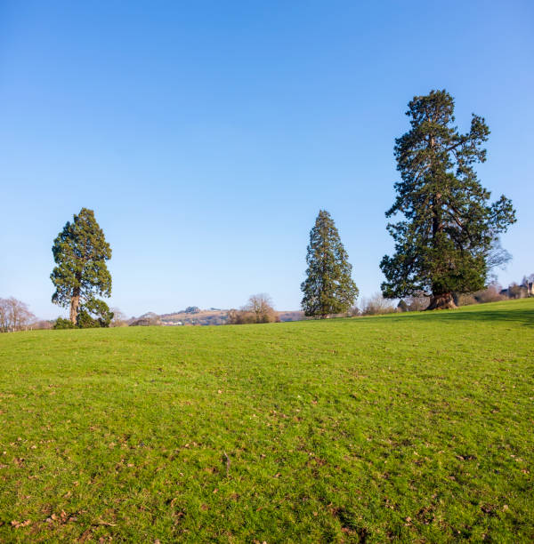 Rural Countryside Scene On A Summers Day. (Photographed In The Cotswolds, Southwest England).