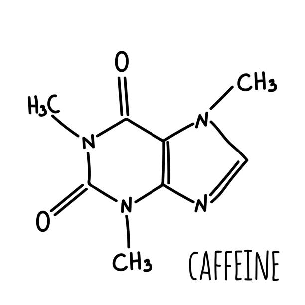 Molecular structural chemical formula. Molecular structural chemical formula of caffeine. Vector hand drawn illustration. caffeine molecule stock illustrations