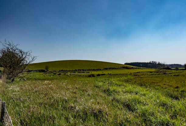 istock Hills Along The River Dee, Scotland. 1313650763