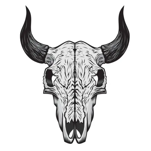 Vector illustration of buffalo skull