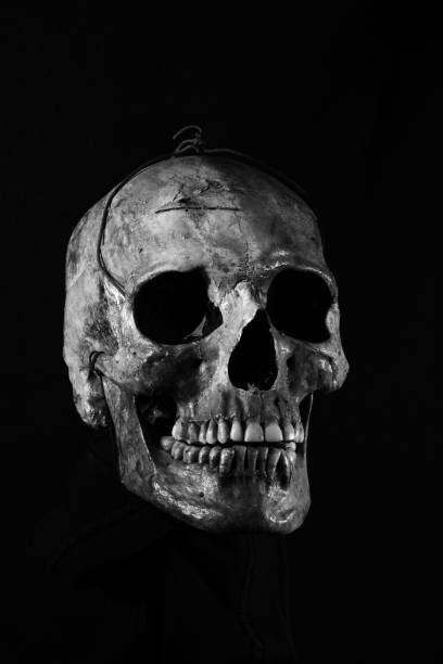 8,400+ Black And White Skull Stock Photos, Pictures & Royalty-Free Images -  iStock | Black and white photography, Black and white abstract, Black and  white shadow