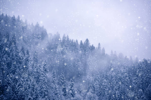 istock Snow blizzard in the mountain 1313654507