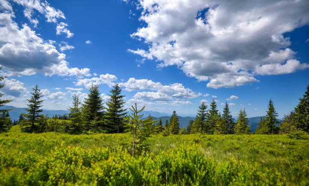 istock Summer landscape in mountains and blue sky with clouds 1313654546