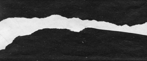 istock Abstract landscape, black and white minimalist art illustration. 1313654599