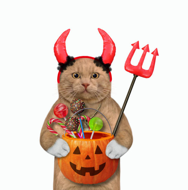 istock Cat reddish in red horns holds pumpkin 1313656699