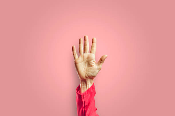istock Woman arm gesturing with open hand isolated on pink background 1313657754