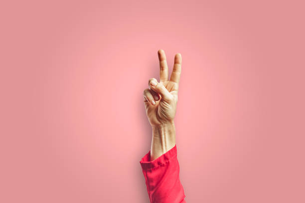 istock Woman arm making victory gesture with hand isolated on pink background. 1313657757
