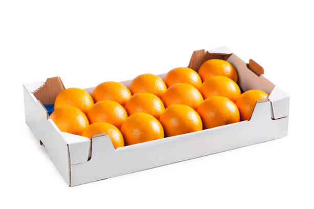 istock Oranges in White Cardboard Box – Smooth Navel Oranges Arranged, Ordered in Fruit Market Carton Box 1313657962