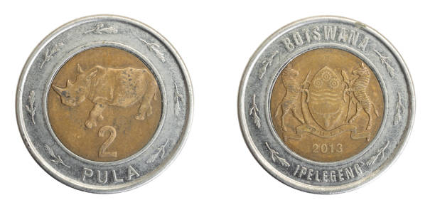 istock Two Botswana coin pot on white isolated background 1313658977