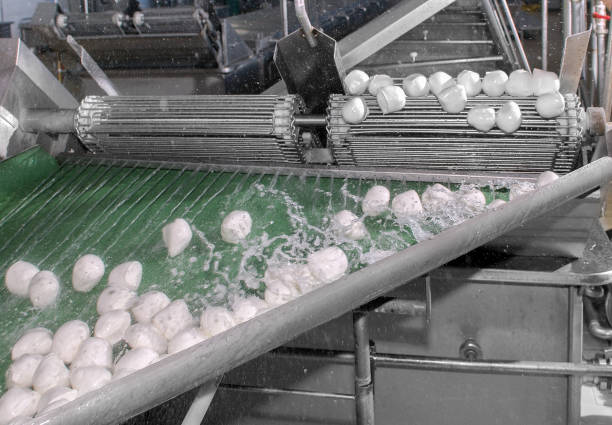 Factory mozzarella production Factory mozzarella production. Washing of mozzarella balls on roller conveyor, freeze motion, excellent light roller ball stock pictures, royalty-free photos & images