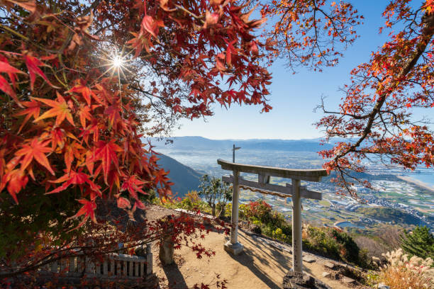 kanonji city, préfecture de kagawa, japon- 29 novembre 2019 :takaya shrine, une destination touristique populaire appelée les torii dans le ciel - japanese maple leaf water japan photos et images de collection