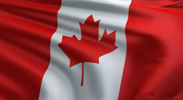 istock Canadian flag Stock photo 1313664232