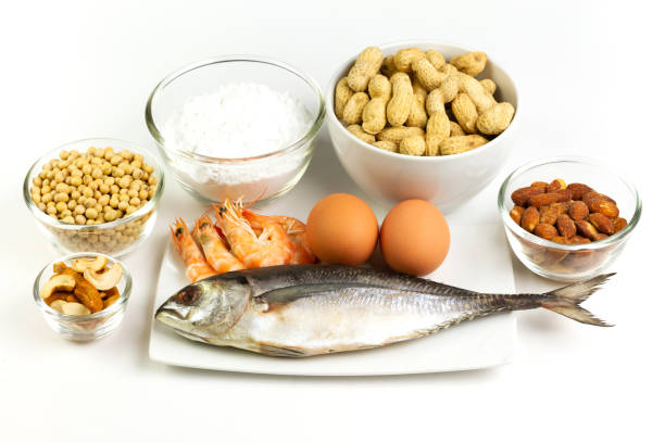 istock Major food allergens. 1313666602