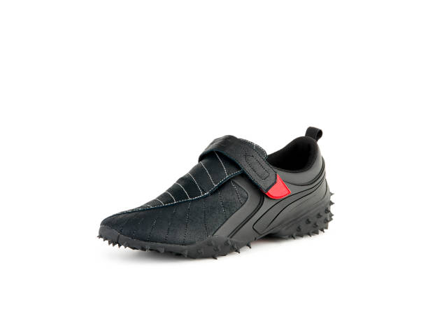 istock Sports shoe 1313668701