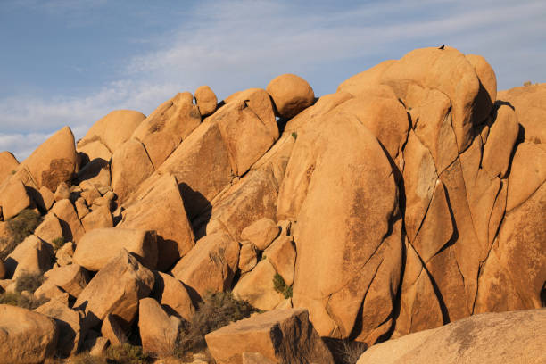 istock Jumbo Rock formations at Joshua Tree National Park 1313677487