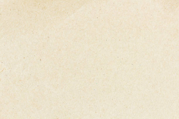 istock White beige paper background texture light rough textured spotted blank copy space background 1313678843