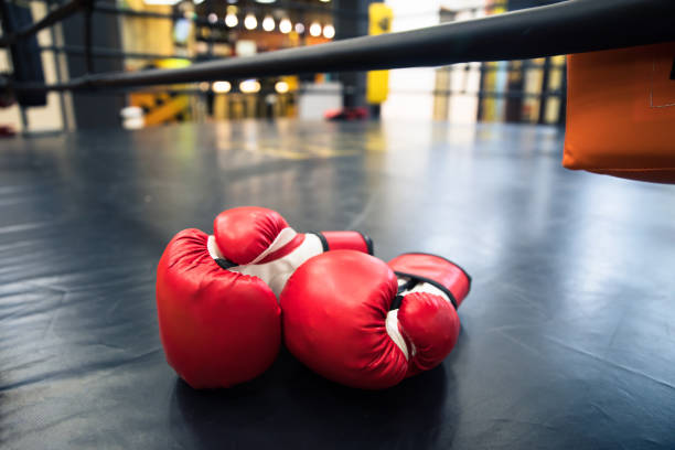istock Pair of red leather boxing gloves 1313681415