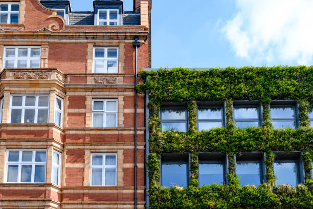 istock Green building with exterior vertical garden 1313682470