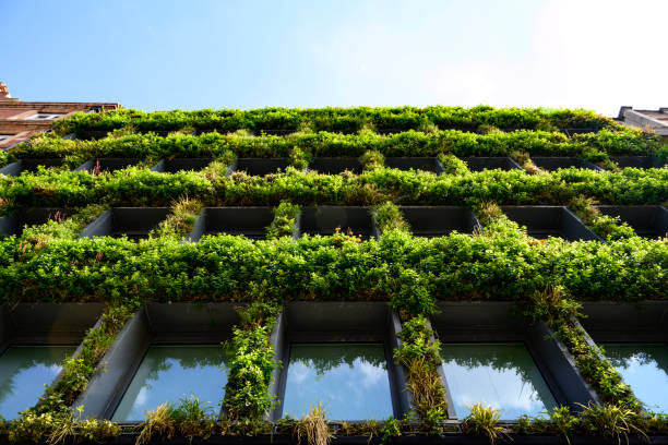 Vertical garden on office building exterior