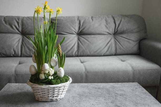istock Easter yellow flowers composition at home interior with grey couch in living room 1313683028