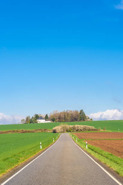 istock Road in landscape with clear blue sky 1313685485