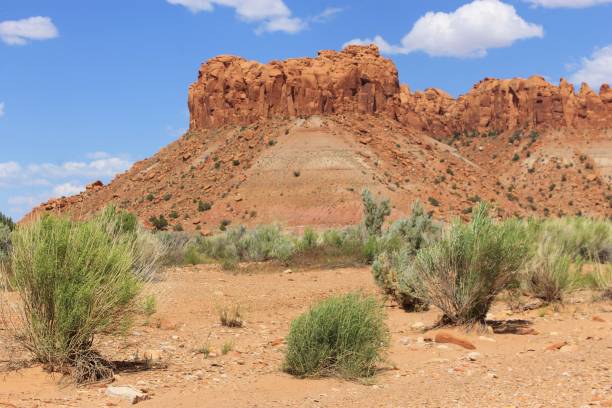 istock Canyon Scenery of the Southwest 1313686586
