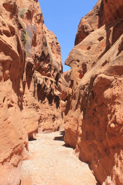istock Slot canyon in the southwest 1313686682