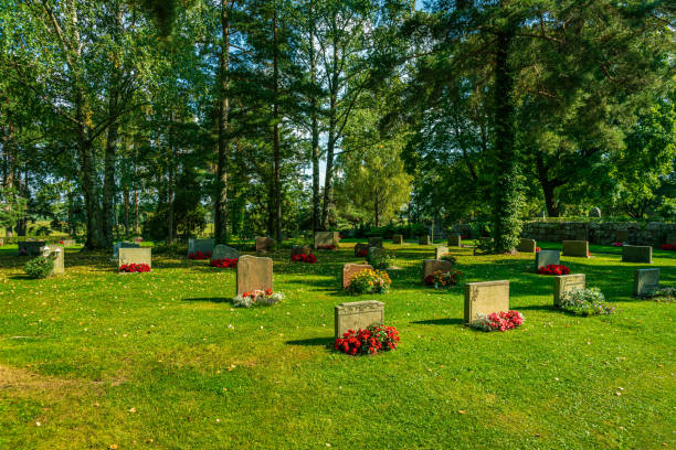 istock Rows of gravestones with colorful flowers 1313686711