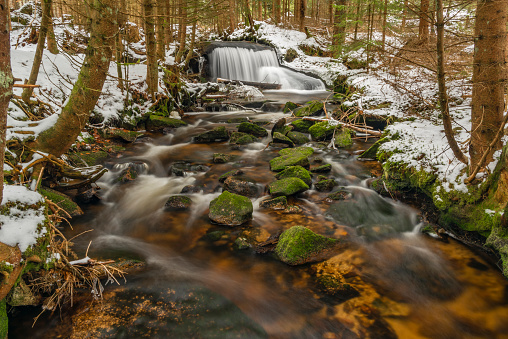 Small waterfall on color Jezerni creek in snowy spring day in national park Sumava in south Bohemia
