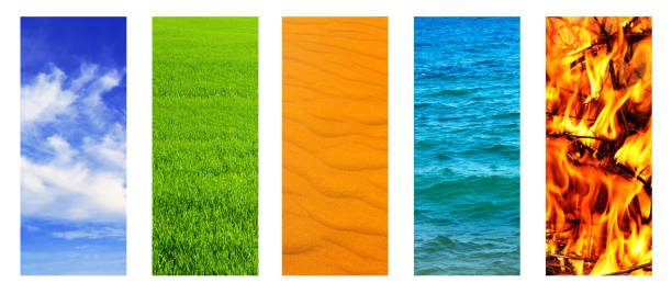 istock Collection of vertical banner with nature scenes 1313689900
