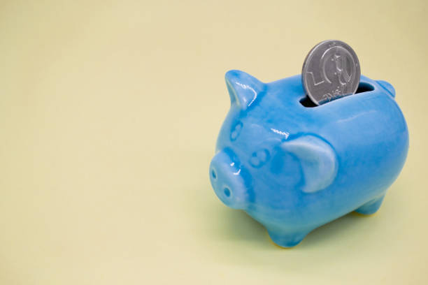 blue ceramic piggy bank with a suspicious look and a coin of 5 czk in the hole on a yellow background. copy space - czech culture currency wealth coin imagens e fotografias de stock