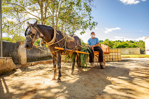 grandfather put his grandson, who came to visit him, on a donkey. The boy is quite happy with this situation. The boy who spends the spring vacation with his grandfather. He rides a donkey among wildflowers. Shot with a full-frame camera in daylight.