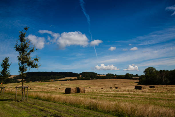 August 11, 2012: Harvested field with hay bales and a cloudy blue sky, Zealand, Denmark