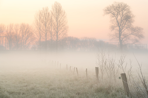 On a frosty morning there is fog over the grassland at dawn