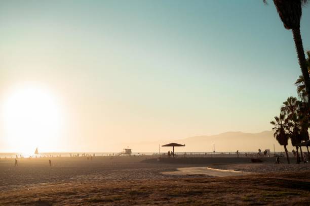 istock Venice Beach, California 1313696920