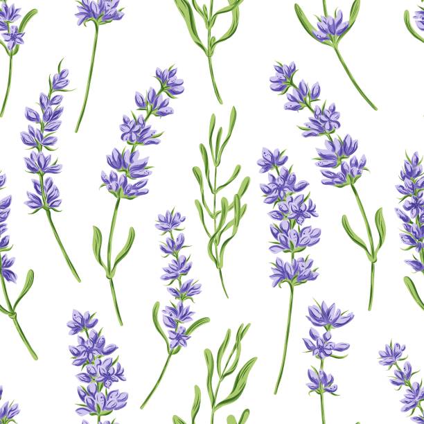 ilustrações de stock, clip art, desenhos animados e ícones de hand drawn vector seamless pattern in retro style with violet lavender flowers and leaves - invitation love shape botany