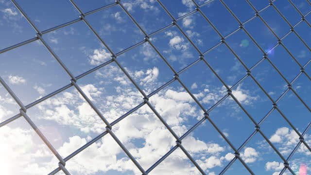Chain link fence and blue sky behind them and moving along iron fence