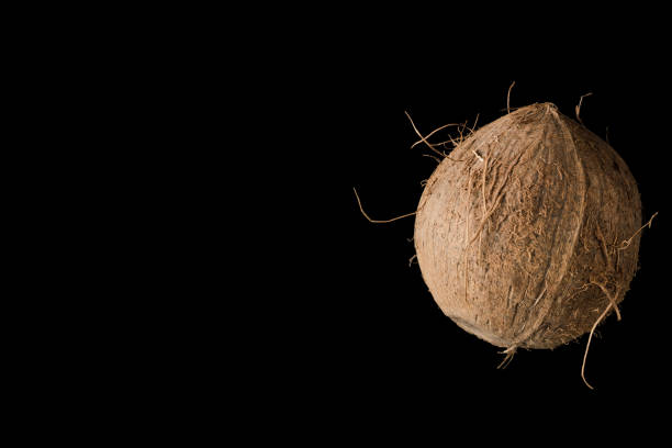 istock One whole ripe coconut, on black background, isolated 1313702778