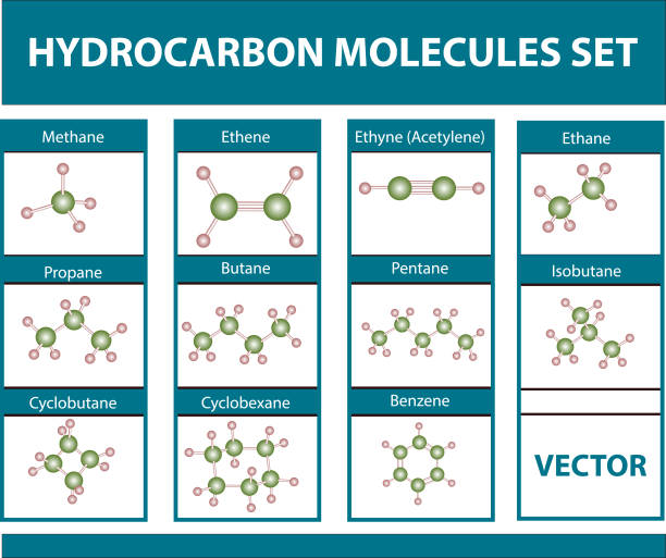  Ilustración de Moléculas De Hidrocarburos Establecidas Sobre Moléculas De Hidrocarburos De Fondo Blanco Establecidas y más Vectores Libres de Derechos de Hidrocarburo